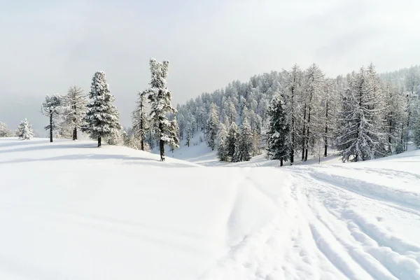 Snow ski run in skiing area Via Lattea Italy — Stock Photo, Image