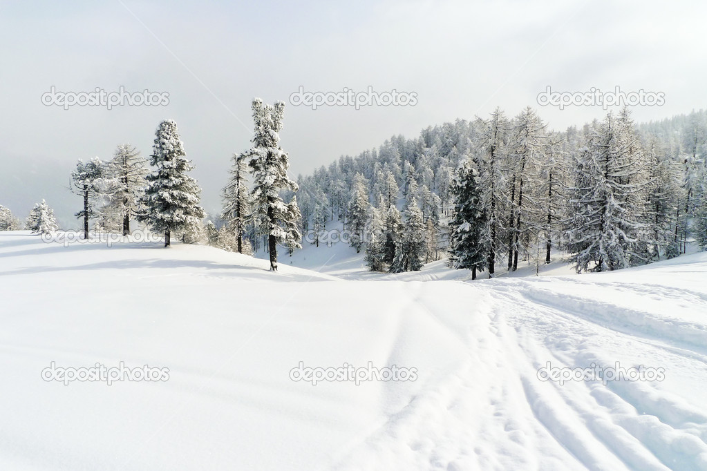 Snow ski run in skiing area Via Lattea Italy
