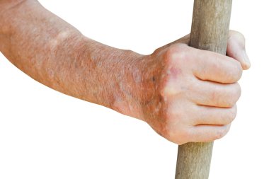 male hand holds old wooden stalk clipart