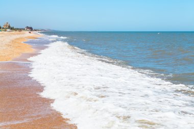 kum ve deniz kabuğu Plajı, Azak Denizi resort yerleşim Golubickaya, Taman Yarımadası, Rusya Federasyonu