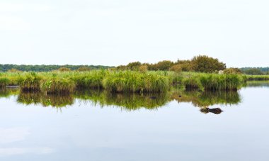 düz landsacape Briere Marsh, Fransa