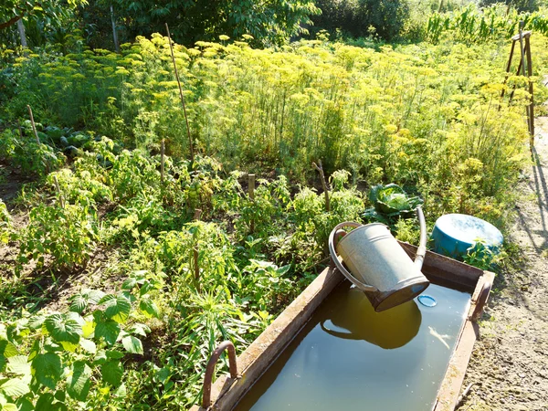 Basin with water for garden watering — Stock Photo, Image