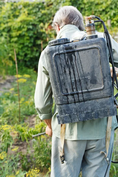 Arbetstagaren besprutning av bekämpningsmedel på land trädgård — Stockfoto