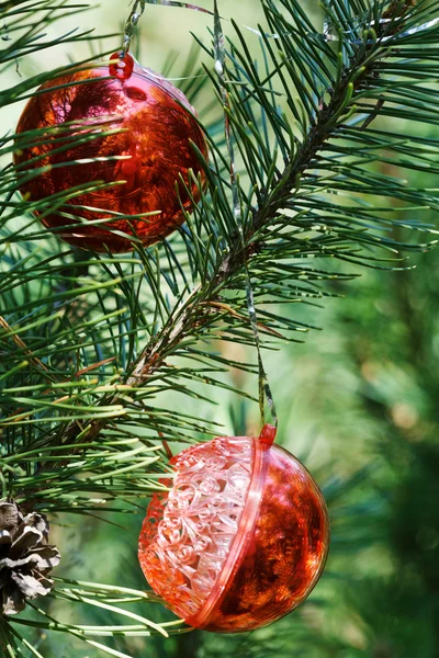 クリスマス ツリーに 2 つの赤のボール — ストック写真