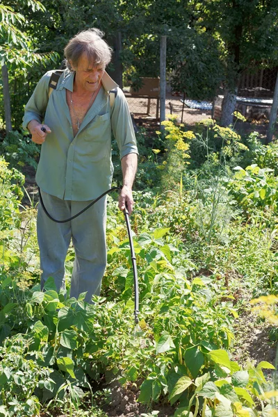 Çiftçi tarım ilacı patates plantasyonda spreyler. — Stok fotoğraf