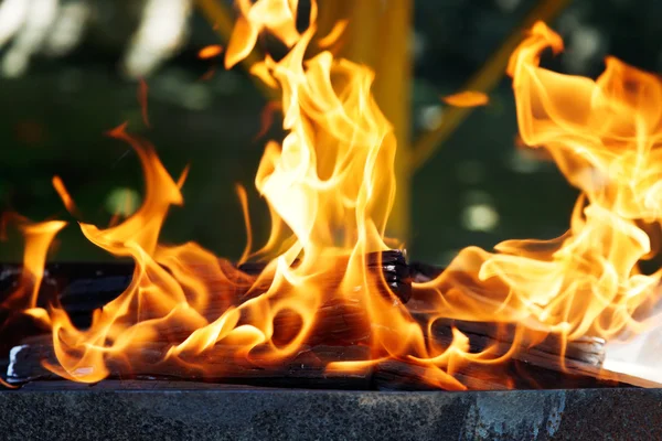 Chamas de madeira em chamas no braseiro — Fotografia de Stock