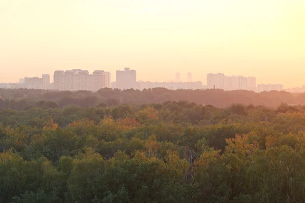 Cálido amanecer de verano sobre casas urbanas y parque —  Fotos de Stock