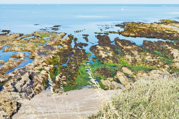 Orilla del océano Atlántico en la península de Guerande — Foto de Stock