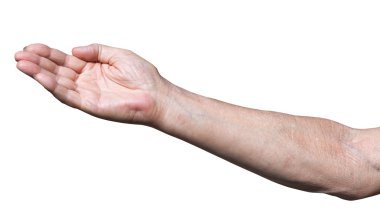 işçi eliyle götürdü palm tarafından