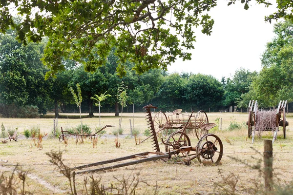 Famiglia contadina con attrezzature agricole abbandonate — Foto Stock
