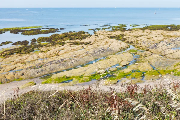 Costa del océano Atlántico en la península de Guerande — Foto de Stock