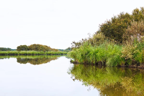 夏季的一天，法国布里埃沼泽湿地的观 — 图库照片