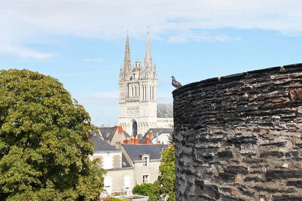 Kasteel muur en saint maurice kathedraal in angers — Stockfoto