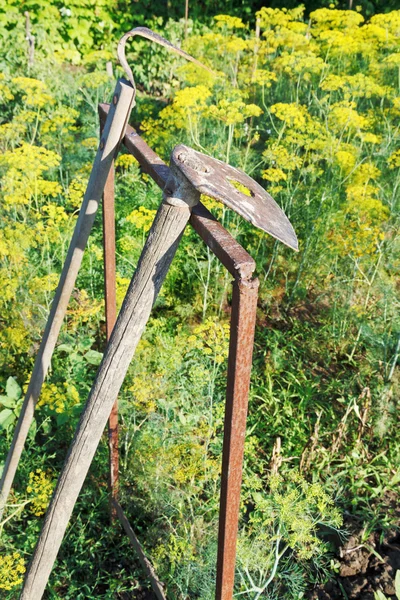 Ferramentas agrárias velhas no jardim — Fotografia de Stock