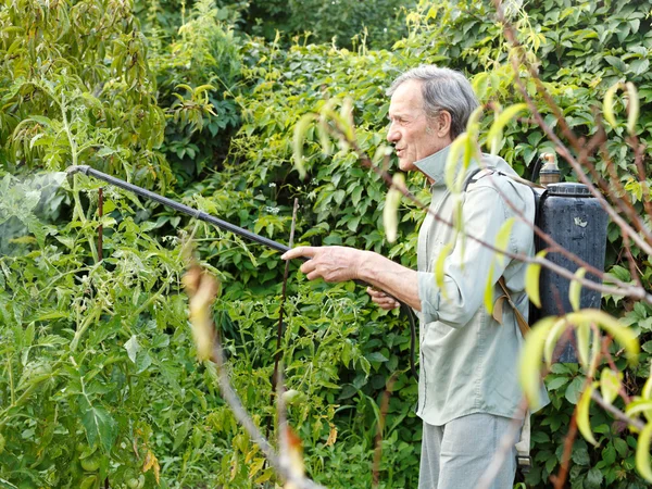 Uomo spruzzatura di pesticidi sul giardino di campagna — Foto Stock