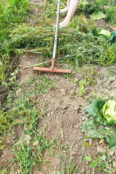 Сгребание травы грабли в саду — стоковое фото