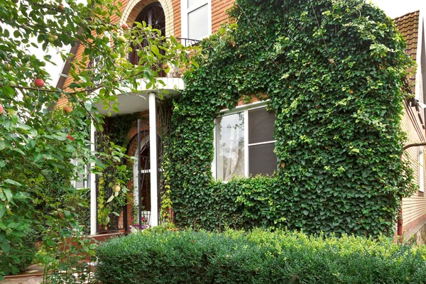 Facade of counrty house with green ivy — Stock Photo, Image