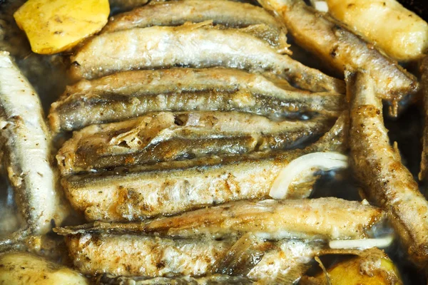 Frying capelin fish in oil in pan — Stock Photo, Image