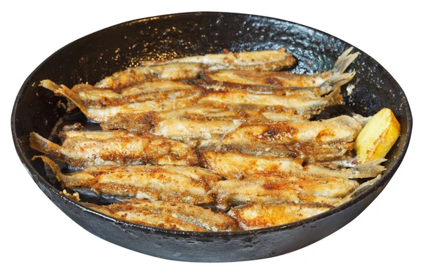 Fried fish capelin on frypan isolated on white — Stock Photo, Image