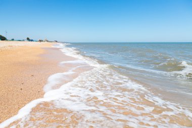 kum ve deniz kabuklarını beach, Azak Denizi içinde tatil köyü Golubickaya, Taman Yarımadası, Rusya Federasyonu
