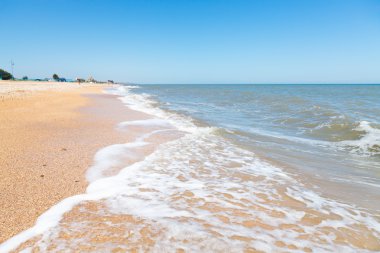 kum ve deniz kabuklarını beach, Azak Denizi içinde tatil köyü Golubickaya, Taman Yarımadası, Rusya Federasyonu