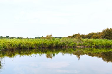 Briere Marsh, Fransa'nın yeşil kıyı şeridi