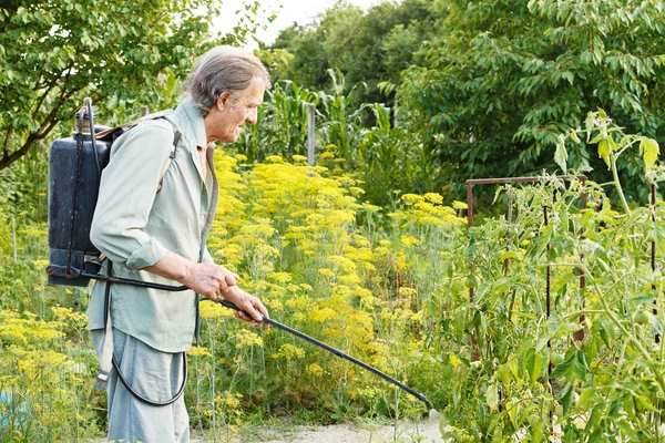 Bătrân pulverizarea pesticidelor pe grădina de țară — Fotografie, imagine de stoc