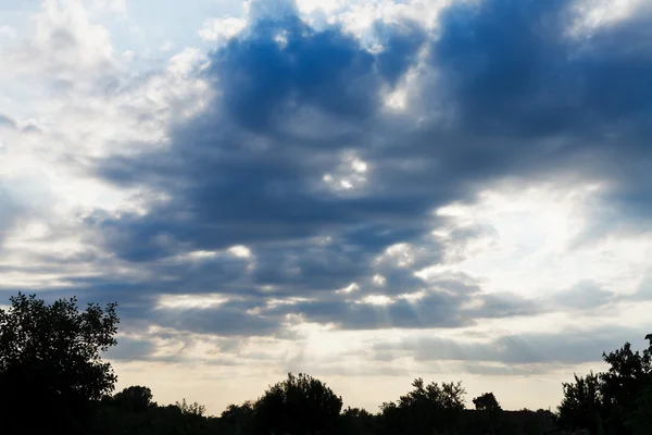 Μπλε σύννεφα πάνω από τα δέντρα στο ηλιοβασίλεμα — Φωτογραφία Αρχείου