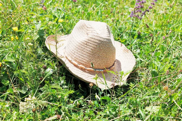 Chapéu de vaqueiro de palha no prado verde — Fotografia de Stock
