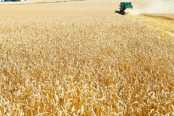 Harvesting in field of ripe wheat — Stock Photo, Image