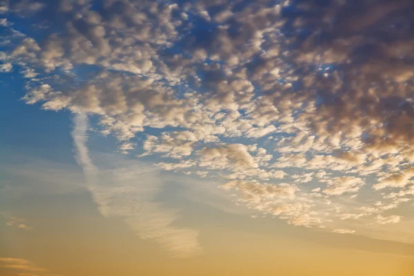 Små moln i mörkt gul och blå solnedgång sky — Stockfoto