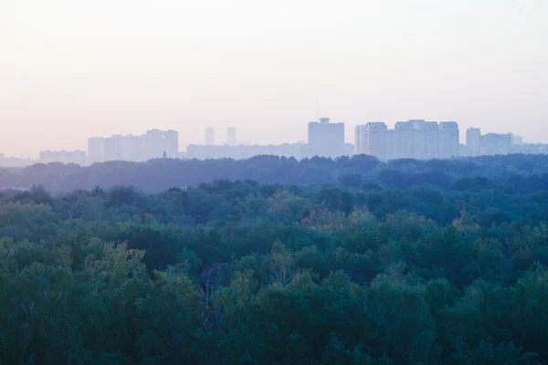 Amanecer temprano azul claro sobre casas urbanas y parque —  Fotos de Stock