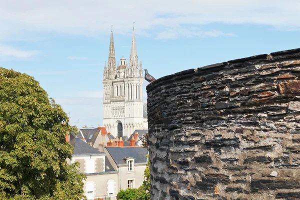 Pohled na katedrálu saint maurice z hradu angers — Stock fotografie