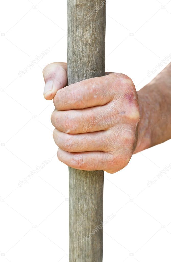 peasant hand holds old wooden stalk