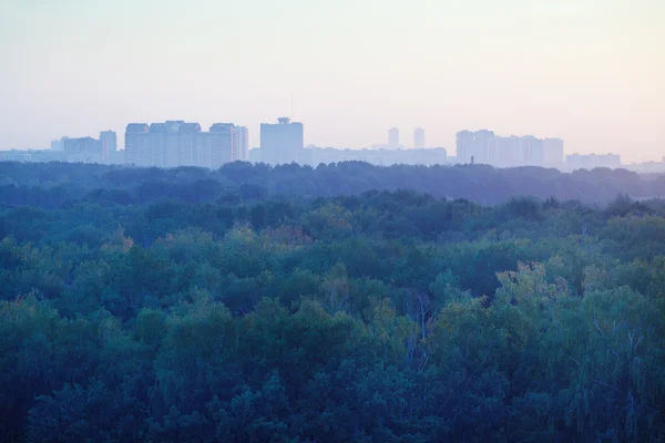 Niebieski i różowy wcześnie wschód słońca nad domami i park — Zdjęcie stockowe