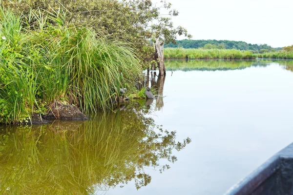 Boating in Briere Marsh, France — Stock Photo, Image