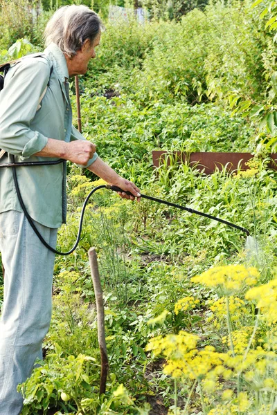 Uomo spruzzatura di insetticida sul giardino di campagna — Foto Stock