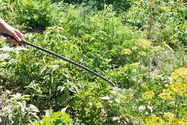 Elaborazione di pesticidi sul giardino di campagna — Foto Stock