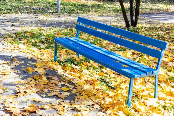 秋の晴れた日に公園の落ち葉で覆われた芝生の空の青いベンチ — ストック写真