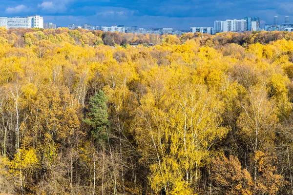 五彩缤纷的黄色城市公园 阳光灿烂 地平线上的现代建筑 秋天里的蓝雨云 雨前的天空 — 图库照片