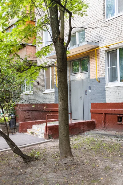 아파트 근처에 나무줄기 — 스톡 사진