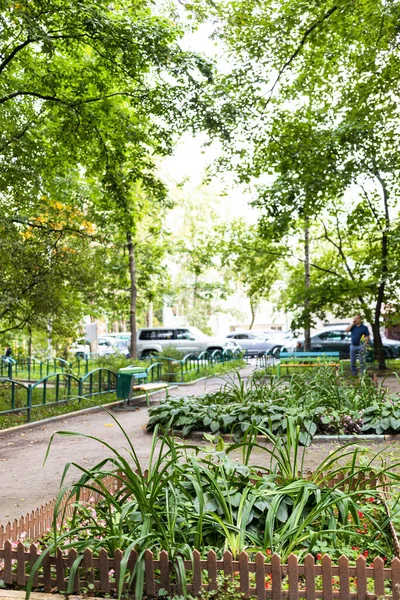 Patio Ciudad Con Macizos Flores Verdes Césped Árboles Ciudad Moscú —  Fotos de Stock