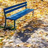 prázdná modrá dřevěná lavička na trávníku pokrytá spadlým listím městského parku za slunečného podzimního dne