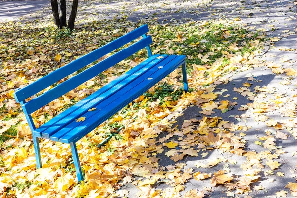 阳光明媚的秋日 草坪上的蓝长椅上 落满了黄叶的城市公园 — 图库照片