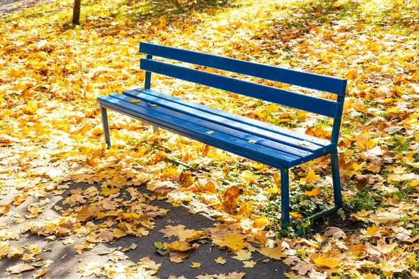 阳光明媚的秋日 在草坪上空旷的蓝色木制长椅上 绿叶覆盖着城市公园的黄叶 — 图库照片