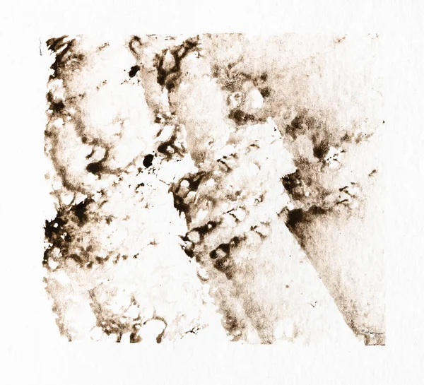 Пример Техники Акварельной Живописи Нарисованной Вручную Сепией Цвета Текстурированной Белой — стоковое фото