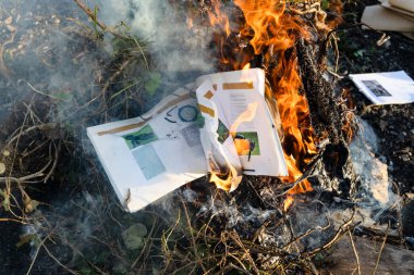 Güneşli bir günde, kır bahçesindeki budanmış dalların üzerinde fotoğrafçılıkla ilgili ders kitabını yakmak.