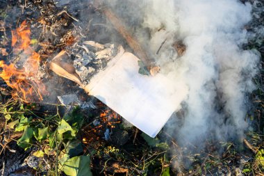 Güneşli bir günde, kır bahçesindeki budanmış dalların üzerinde kitap yakmak.