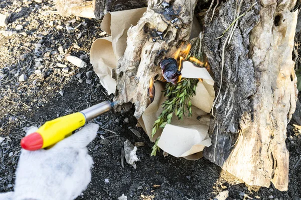 Ontbranding Van Brandhout Met Papier Butaan Fakkel Landelijke Tuin Zonnige — Stockfoto