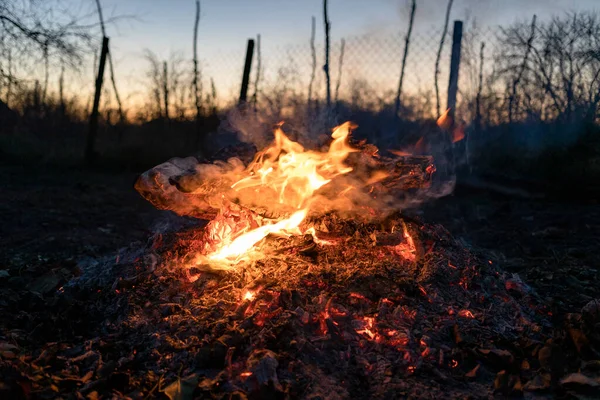 Quemadores Fuego Pila Ceniza Caliente Jardín Atardecer — Foto de Stock
